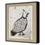 Little Pheasant Print by Bainbridge, Hope-1013147880
