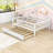 Clyda Daybed with Twin Trundle and Fence Guardrails-970105893-970105888