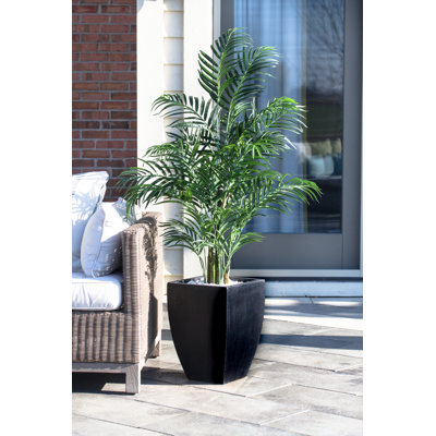 Areca Palm Tree with Wash Planter UV Resistant (Indoor/Outdoor)