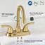 Centerset 2-handle Bathroom Faucet with Drain Assembly-55809706