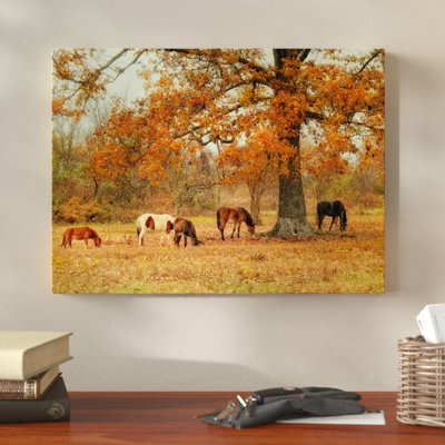 " Calmly Grazing " by Danny Head