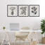Ensemble de 3 reproductions encadrées sous verre Classic Natural Botanicals, design par Karen Smith-1981335178-1981335223