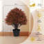Arbre à fleurs 24 po en cèdre artificiel en pot noir - Faux plante d'intérieur d'extérieur pour le porche ou l'entrée-1227805529