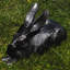 Statue de lapin Coronel-1592824405