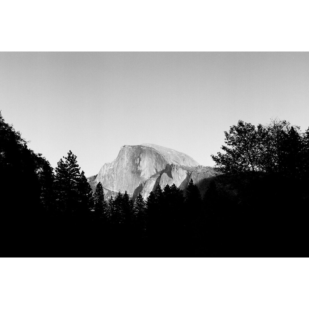 Leinwandbild Half Dome in Trees von Bradford Smith