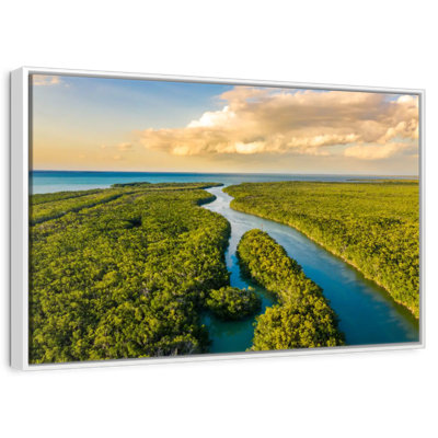 Parc national des Everglades