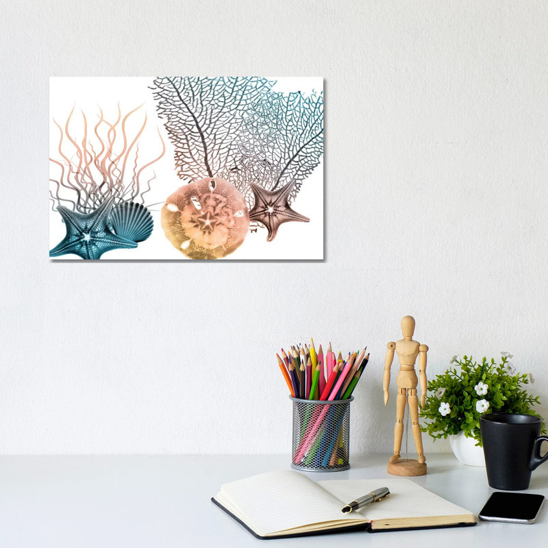 Sea Collective III by Albert Koetsier - Print on Canvas, Wrapped Canvas, 20.32cm H x 30.48cm W x 1.91cm D