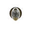 Figurine Grandette Newport Rosette-15935970