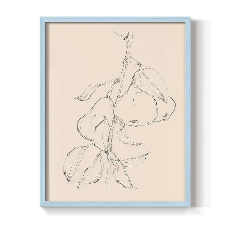 «Fruit Contour Study II», reproduction encadrée - bois massif, Cadre simple bleu, H 10 po x l 8 po