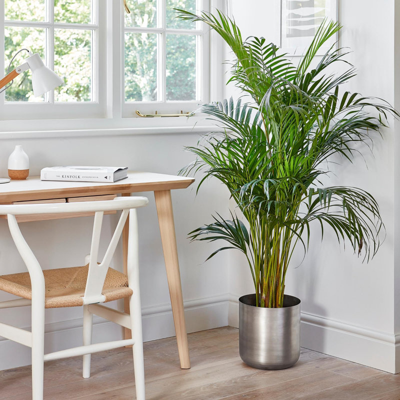 Indoor Metal Chelsea Planter, Pewter, 20cm H x 20cm W x 20cm D