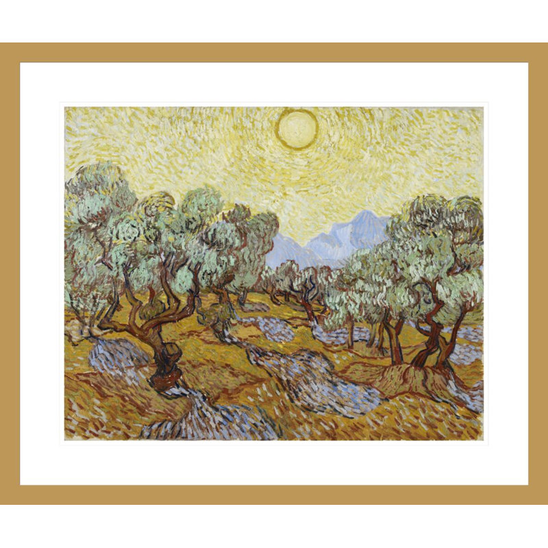 «Olive Trees» par Vincent van Gogh, impression giclée encadrée, H 23,5 po x l 27,86 po