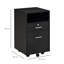Olortegui 2 Drawer Filing Cabinet-1165396677