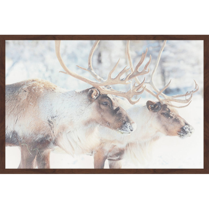 Parvez Taj - Single Picture Frame Print, 41cm H x 61cm W x 3.81cm D
