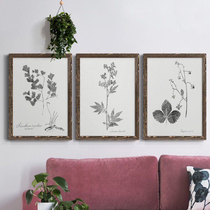 «Botanical Imprint I», ensemble de 3 peintures sur toile encadrées, Noyer, H 43,5 po x l 31,5 po x P 1 po