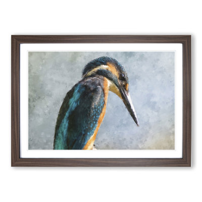 Kingfisher Bird Vol.1 - Framed Print
