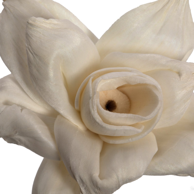 Preserved Jonquil Arrangement