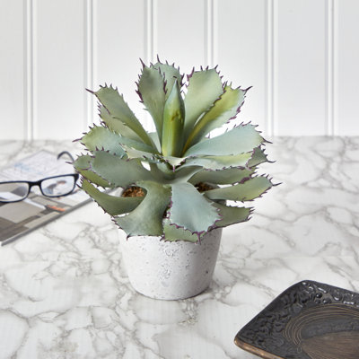 Plante grasse artificielle en pot 11 po