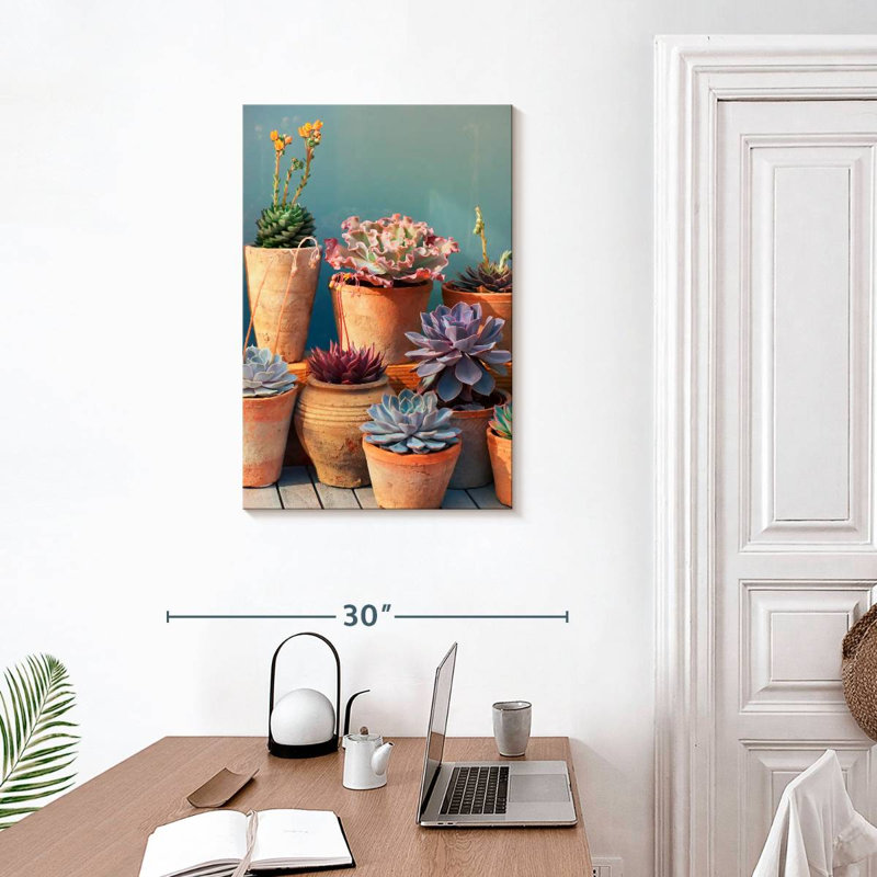 Plante grasse Harnek sur table, H 30 po x l 20 po
