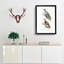 Woodpecker Illustrations by John Edward Gray - Picture Frame Painting Print-55614501-55614504