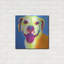 «Pit Bull - Daisy» par Dawg Painter-1228331649