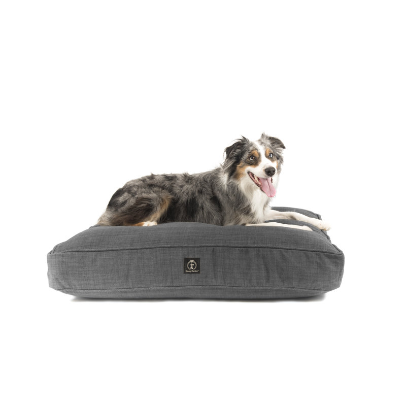 Lit pour chien Heather, Petit (l 26 po x P 20 po x H 5 po), Bleu