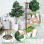 Plant-986871588