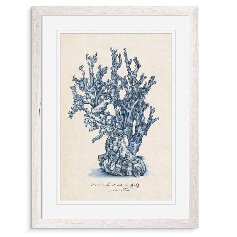 « sea corail study iv » par paul cezanne-cadre photo, reproduction d’art, H 16 po x l 22 po x P 1 po, Encadré blanc imprimé