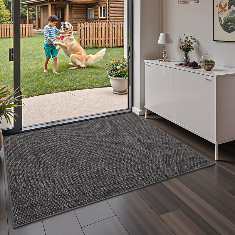 Non-Slip Indoor Doormat, 24" W x 36" L, Dark Gray