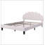 Lit plateforme tapissier avec tête de lit en velours à motif floral-636755628-636755633