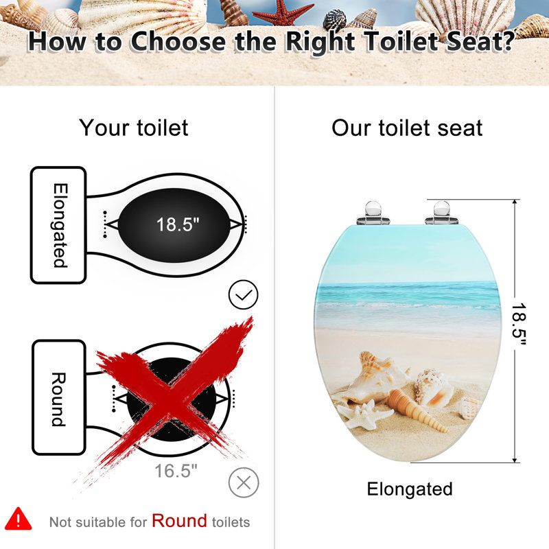 Siège de toilette allongé, siège de toilette moulé avec charnières à fermeture silencieuse et à dégagement rapide, facile à installer et à nettoyer (plage)
