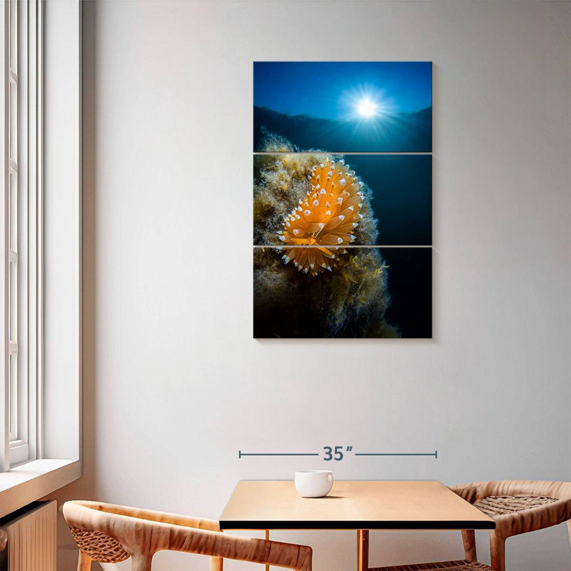 Brampt Crested Aeolis, 57" H x 36" W