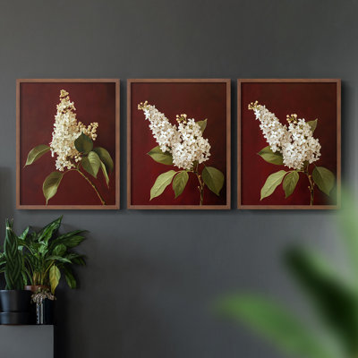 Série d'étude florale LXIX - ensemble de 3 estampes numériques encadrées - prêt à être accroché