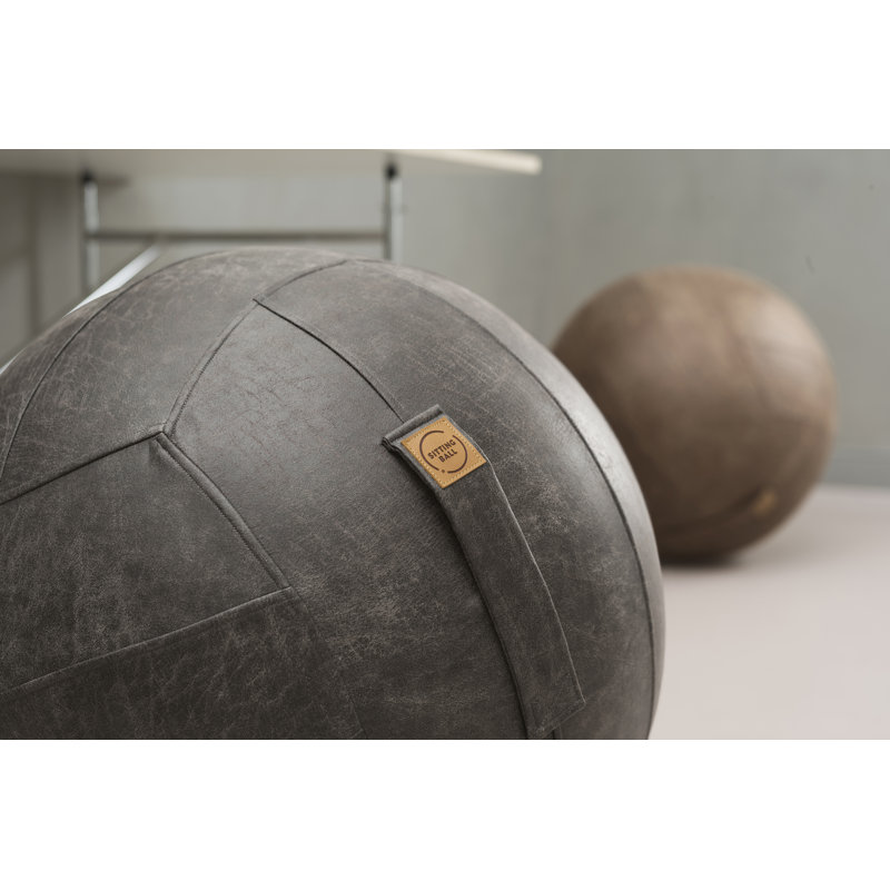 Jonluc Ergonomic Ball Chair, Grey