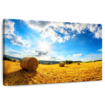 Alvord Sunny Hay Field