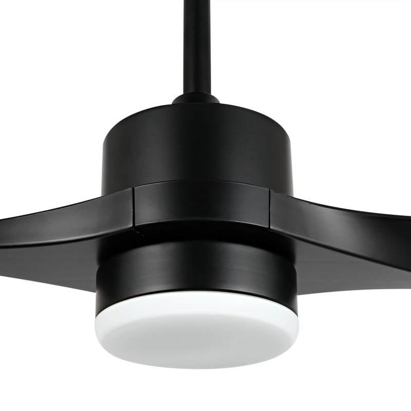 Popovich 52'' Ceiling Fan with LED Lights, Black