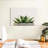 Harnek Stone Pot Succulent-106307264