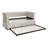 Knolan Upholstered Daybed with Trundle-78617760