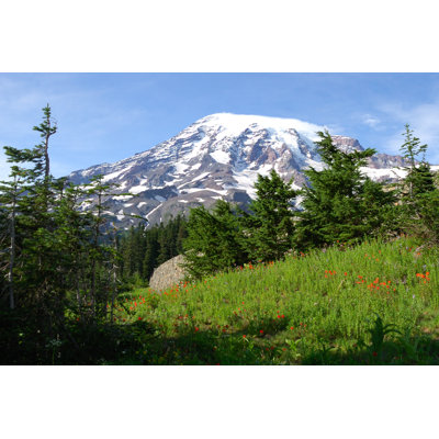 " Paradise, Mount Rainier " by Diy75
