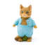 Tom chaton