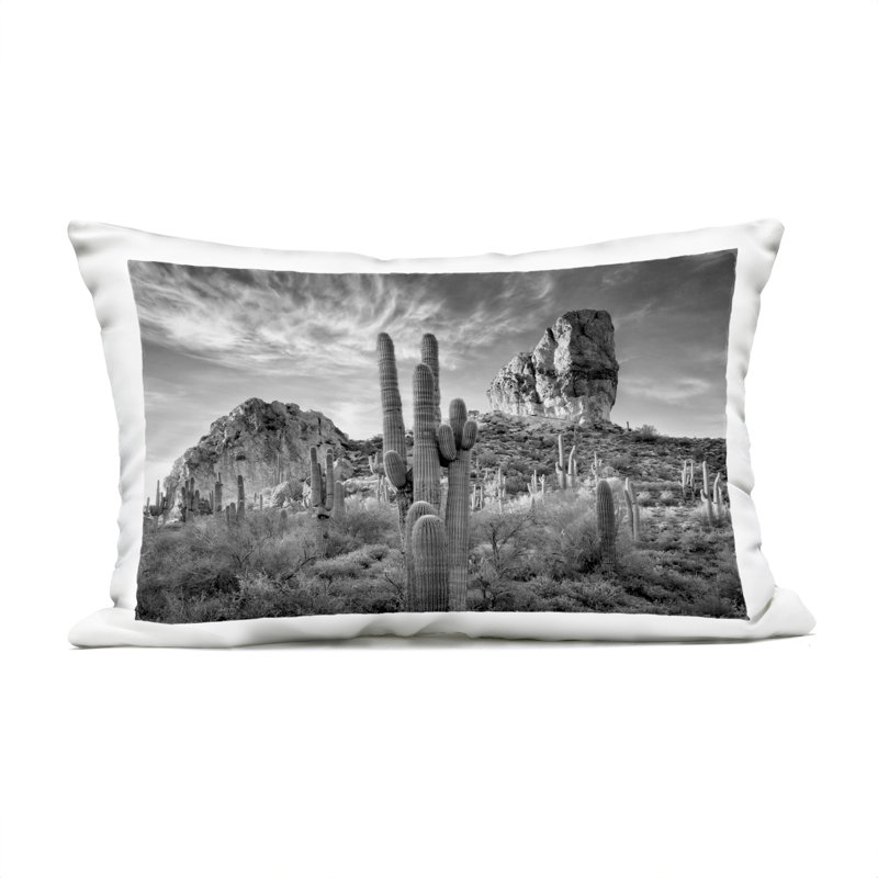 Coussin Lacting Cacti & Canyon View, imprimé par David Drost
