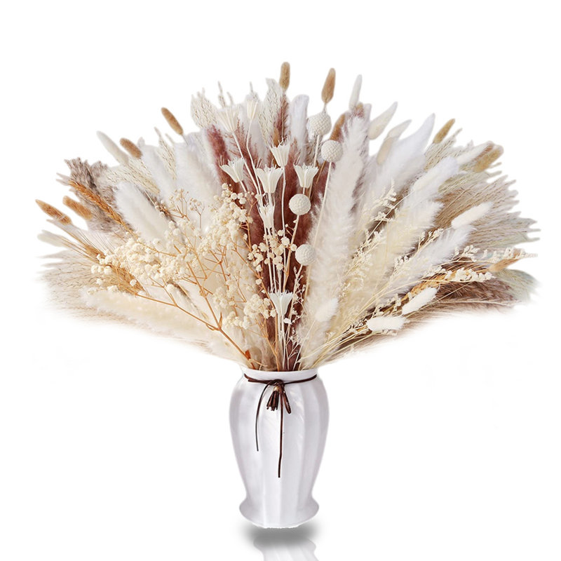 Wym 17cm Pampas Grass Grass
