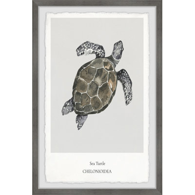Coldfield Aetobatus Narinari B by Marmont Hill - Single Picture Frame Print