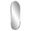 Dante Oval Stainless Steel Beveled Mirror-43046306