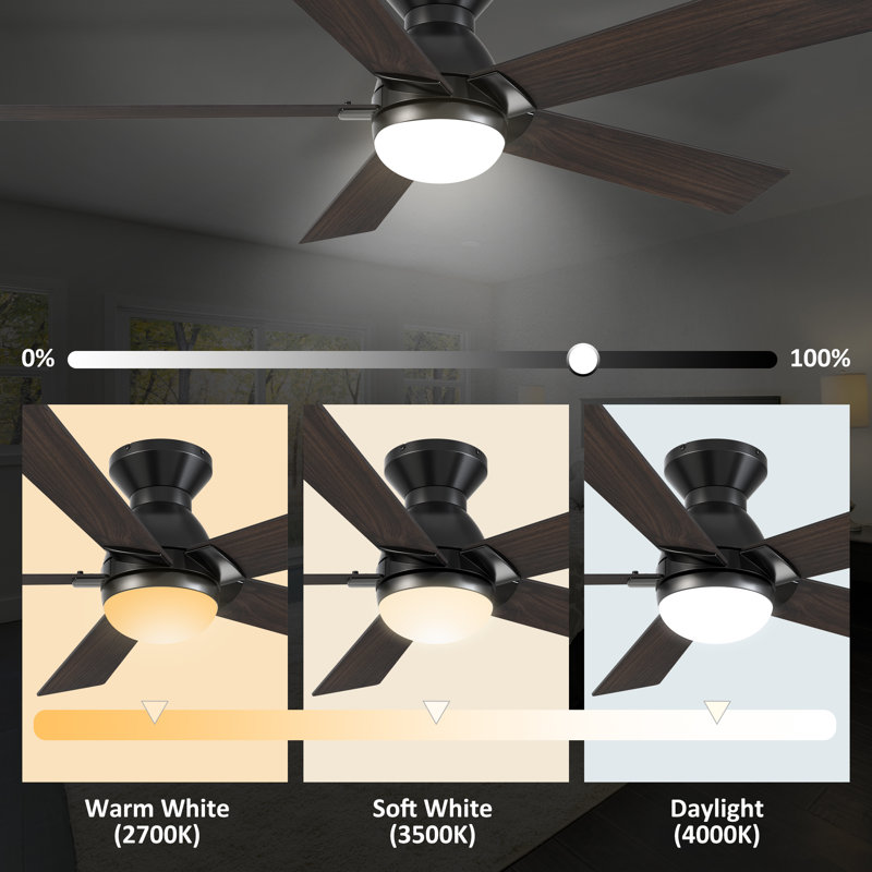 52" Alceu 5 - Blade Flush Mount Smart Ceiling Fan with Light, Black