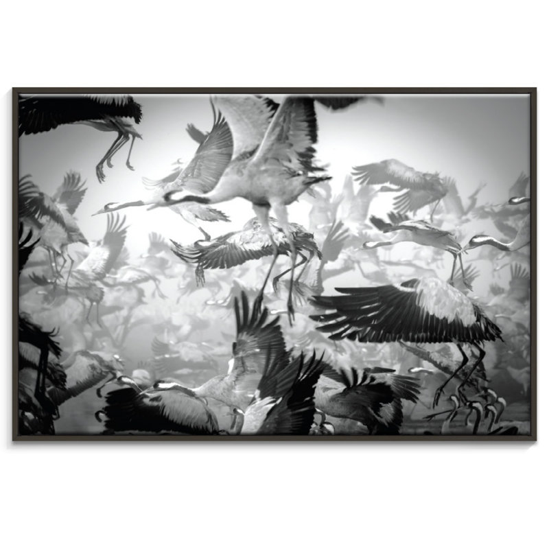 Photographers Lane - Wrapped Canvas Print, Black, 102cm H x 152cm W
