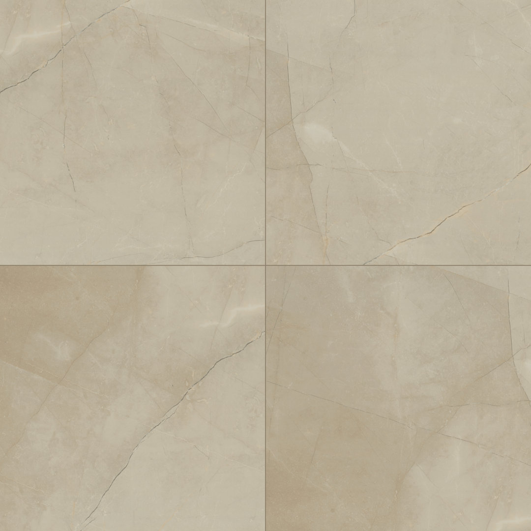 Sonoma 24 in. x 24 in. Matte Porcelain Stone Look Floor and Wall Tile Ackland 