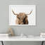 "Portrait de vache Shetland brune et blanche à deux tons" sur papier-98265843-98265842