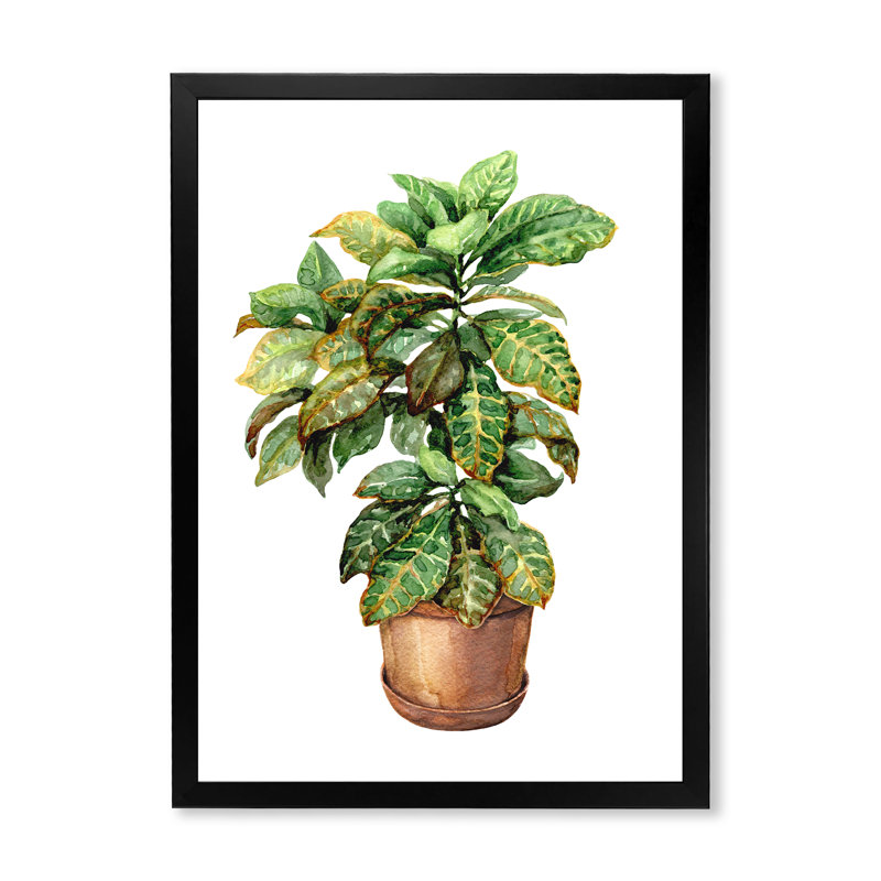 Croton dans un pot de fleurs en argile - peinture sur toile, H 40 po x l 30 po x 1,5 po, Cadre photo noir