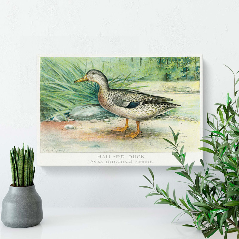 A Mallard Duck by J.L. Ridgway - Wrapped Canvas Painting, 40cm H x 60cm W x 3cm D