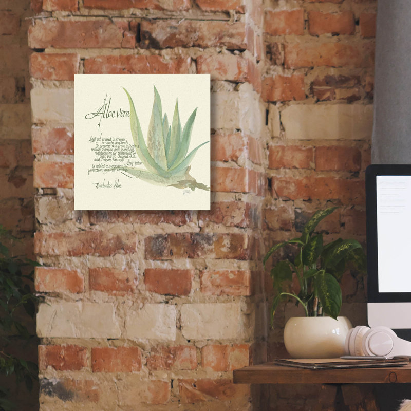 «Aloe Vera» par Chris Paschke, art mural sur toile, H 12 po x l 12 po x P 0,75 po